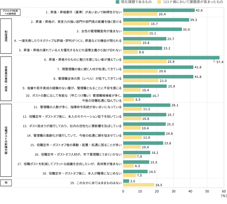 ＜図表6＞昇進・昇格に関する課題