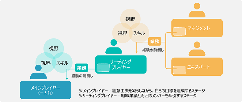 成長経験の前倒しと仕組みづくり