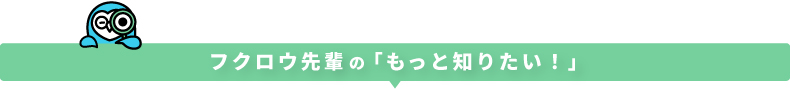 フクロウ先輩の「もっと知りたい!」
