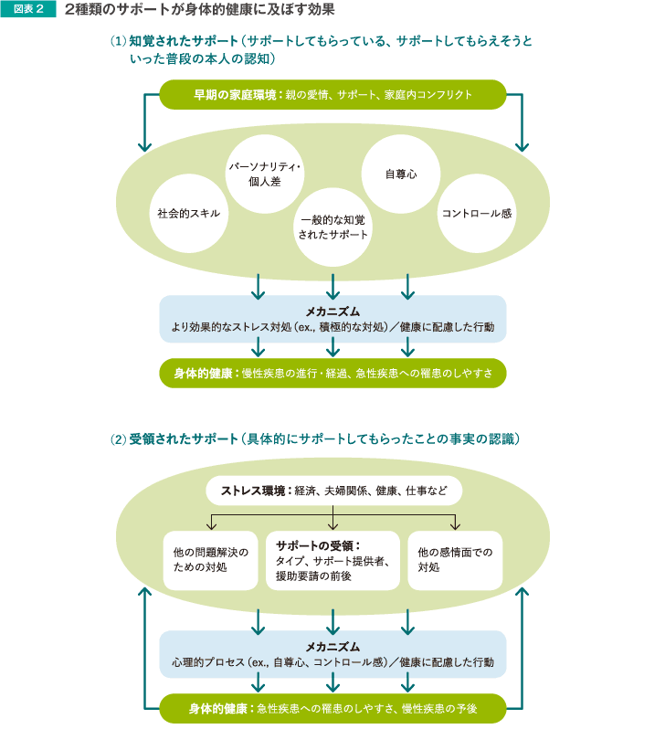 図表2 2種類のサポートが身体的健康に及ぼす効果