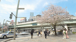 新人・若手が研修でつかむもの
