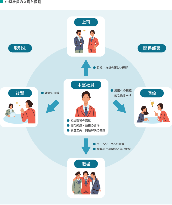 中堅社員の立場と役割