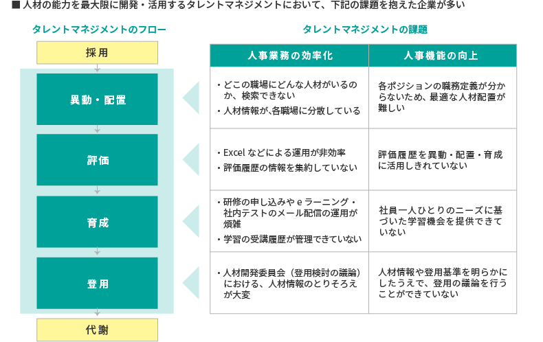 タレントマネジメントフロー