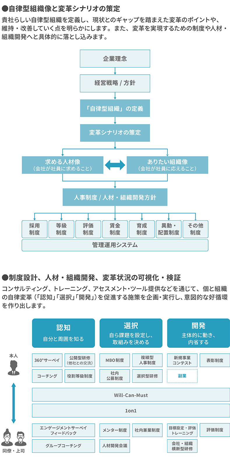 自律型組織像と変革シナリオの策定／制度設計、人材・組織開発、変革状況の可視化・検証