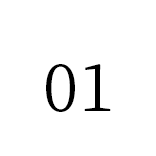MERIT 01
