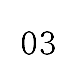 MERIT 03