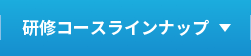 研修コースラインナップ