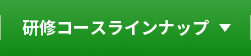 研修コースラインナップ